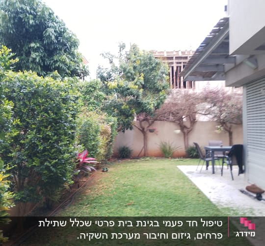 גינה עם דשא, שיחים ועצים, צינור השקיה
